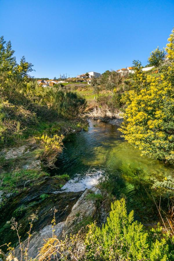 Aradas, Pampilhosa Da Serra, Casa Da Oliveira, Wifi, Ar Condicionado, Churrasqueira, Parqueamento, By Ig Unhais-o-Velho Екстериор снимка