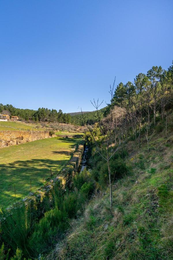 Aradas, Pampilhosa Da Serra, Casa Da Oliveira, Wifi, Ar Condicionado, Churrasqueira, Parqueamento, By Ig Unhais-o-Velho Екстериор снимка